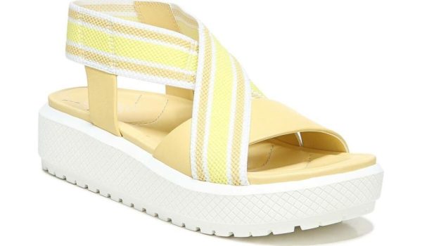 Chicvogue.shop04975446be 1