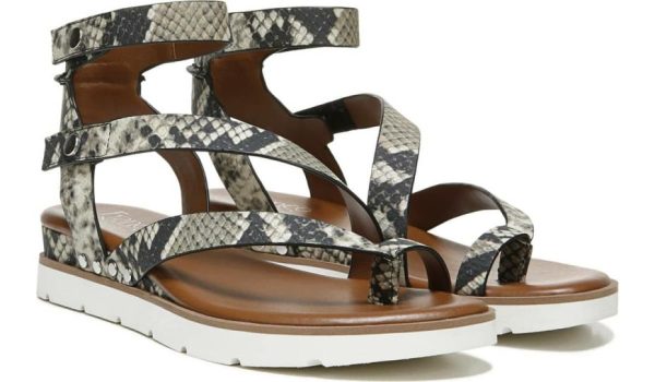 Chicvogue.shop15f4af37a7 2