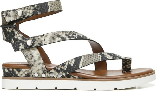 Chicvogue.shop15f4af37a7 3