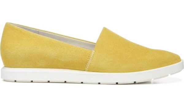 Chicvogue.shop50b4415163 3