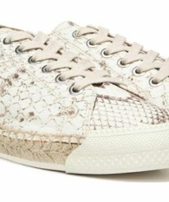 Chicvogue.shop725c355a61 2