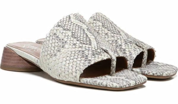 Chicvogue.shopb37cd7d449 2