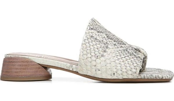 Chicvogue.shopb37cd7d449 3