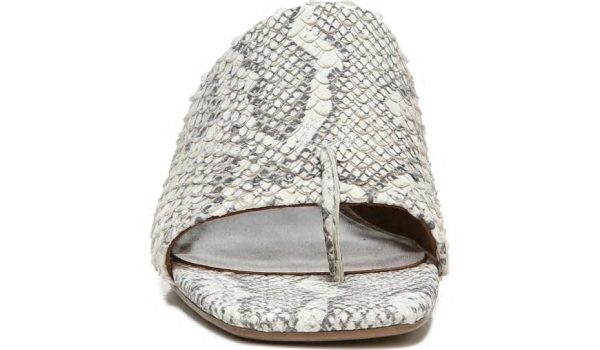 Chicvogue.shopb37cd7d449 4