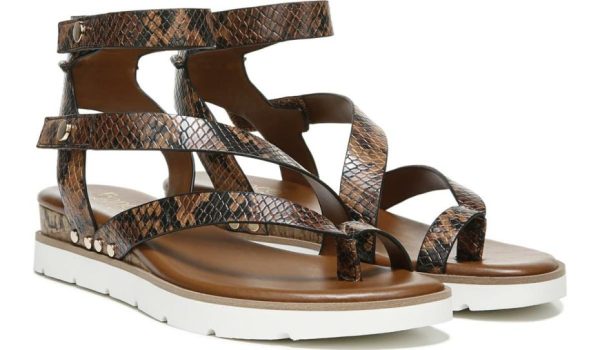 Chicvogue.shopecf7ef169c 2