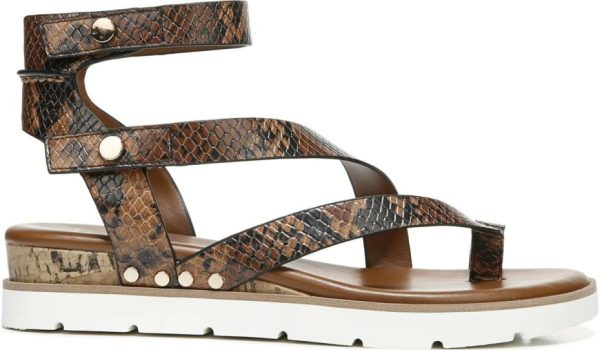 Chicvogue.shopecf7ef169c 3